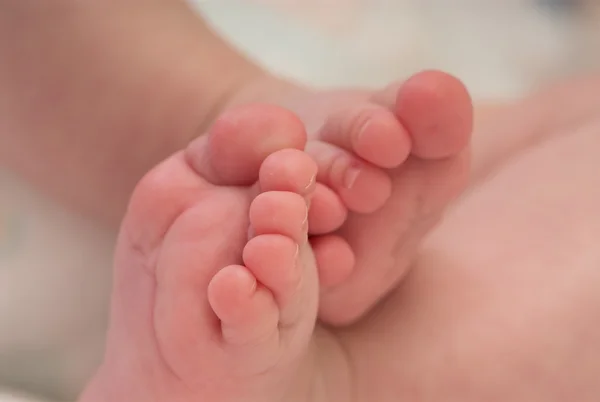Pies recién nacidos — Foto de Stock