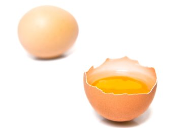 Egg; clipart
