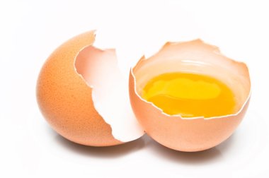 Egg clipart