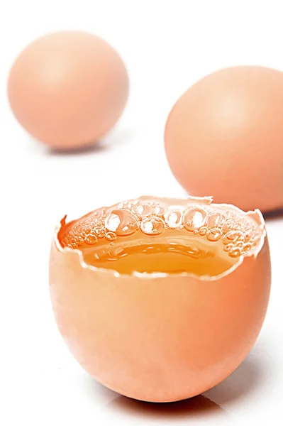 Huevo — Foto de Stock