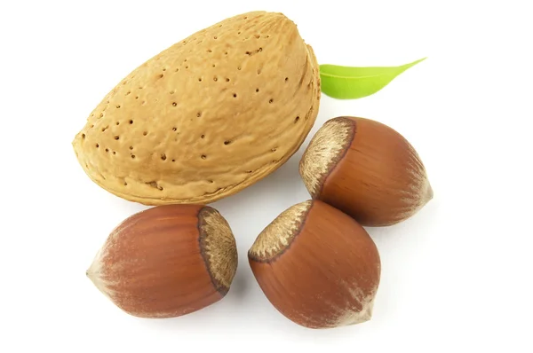 Nuts White Background — Stock Photo, Image