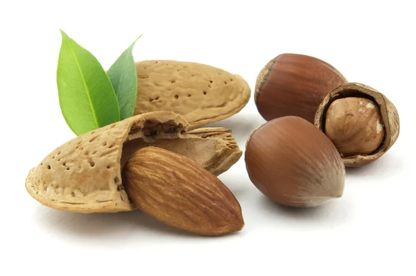 Almonds Walnut Isolated White Background — Stock Photo, Image