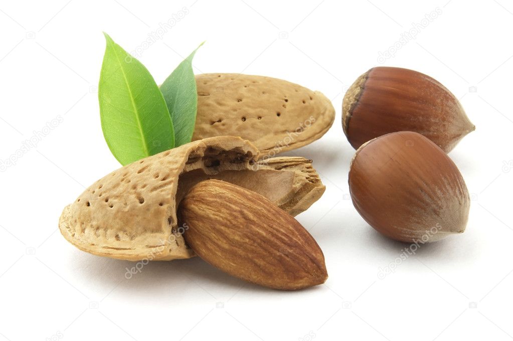 hazelnuts and leaves isolated on white background 