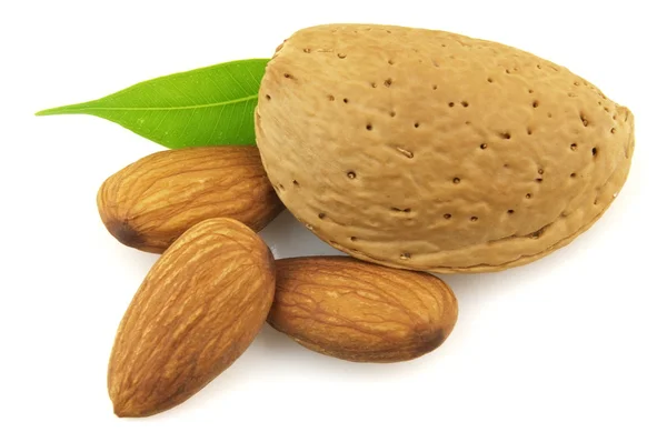 Almond with leaves — Stock Photo, Image