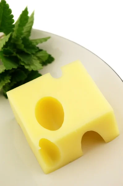 Cheese with melissa — Stock Photo, Image