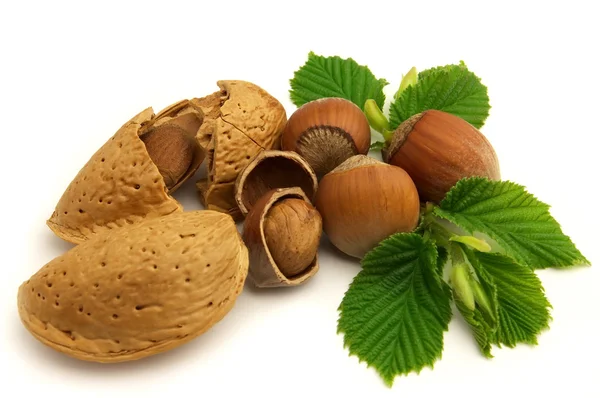 Nuts with leaves — Stock Photo, Image