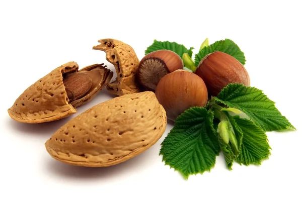 Tasty nuts — Stock Photo, Image