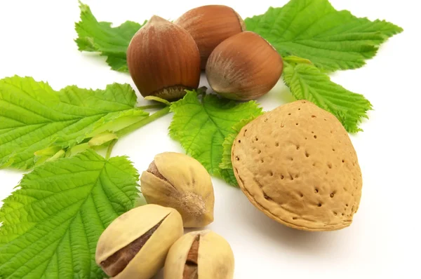Tasty nuts — Stock Photo, Image