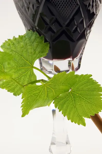 Wine and vine — Stock Photo, Image