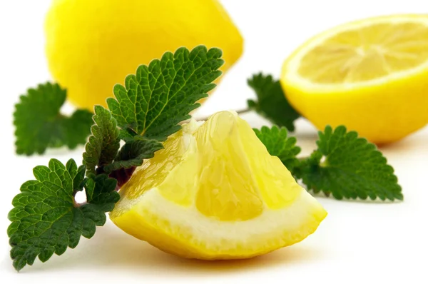 Saftig citron — Stockfoto