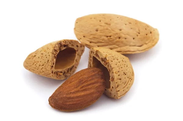 Dried almond — Stock Photo, Image