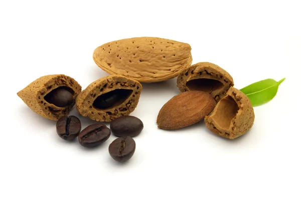Almond and coffee beans — Stock Photo, Image