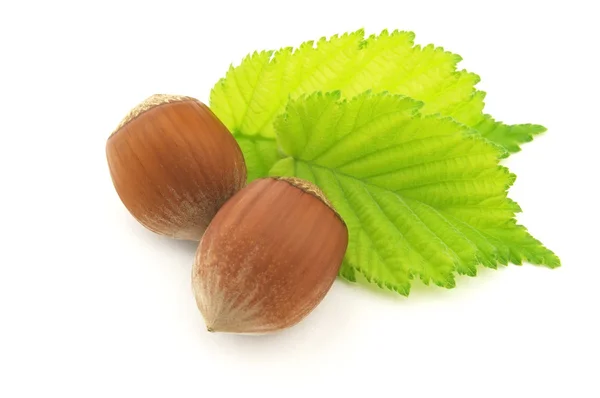 Орешки с листьями — стоковое фото