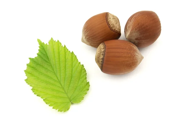 Орешки с листьями — стоковое фото