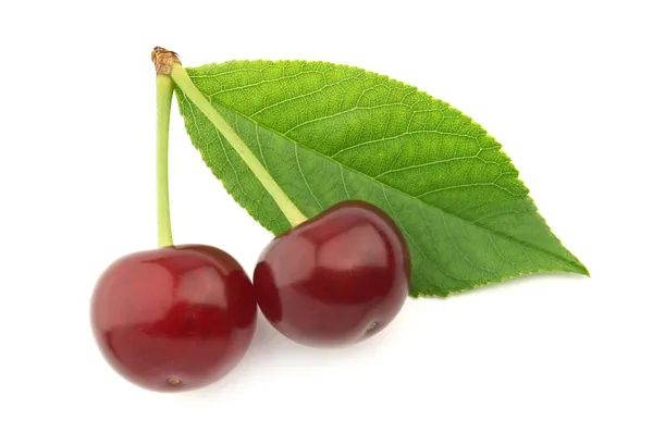 Cherry dengan daun — Stok Foto