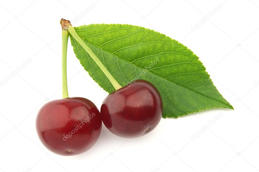 Cherry with leaves