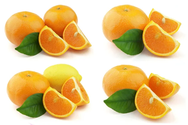 Mandalina ve limon — Stok fotoğraf