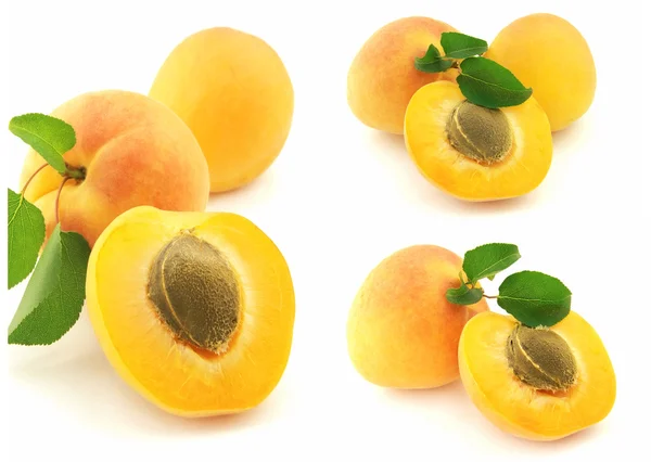 Sweet apricot — Stock Photo, Image