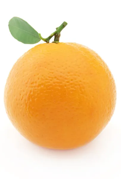 Słodka pomarańcza — Zdjęcie stockowe