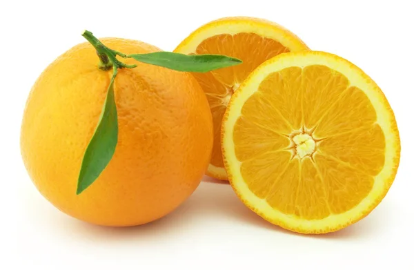 Arancio dolce — Foto Stock