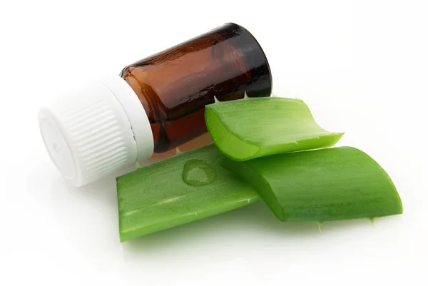 stock image Aloe vera