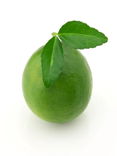 Lime met bladeren — Stockfoto