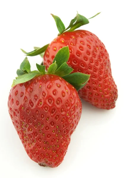 Strawberry — Stok Foto