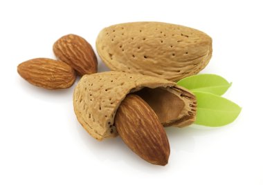 Almonds with kernel clipart