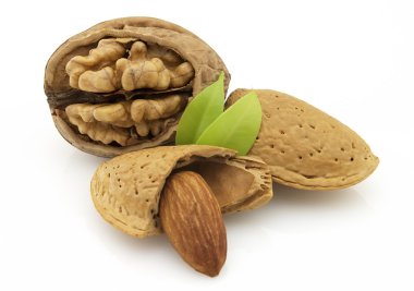 Almonds with walnuts clipart