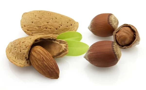 Almonds with hazelnuts — Stock Photo, Image