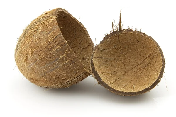Cáscara de coco — Foto de Stock