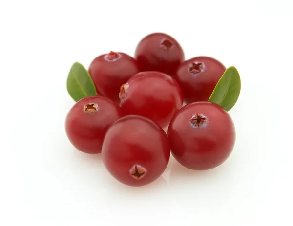 Cranberry — Stock Photo, Image