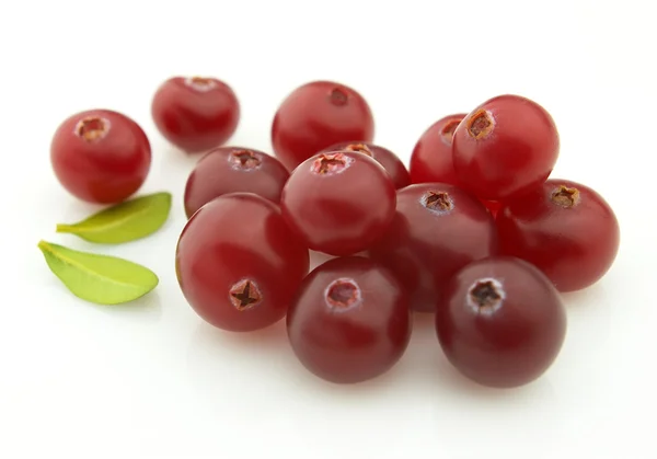 Cranberry matang — Stok Foto