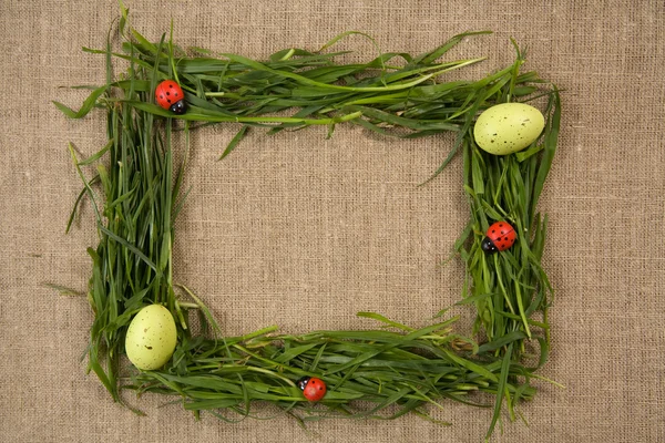 Grass frame with eggs and lady-bugs — Stock Photo, Image