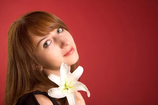 Beautiful girl with orchid, lot of copy- — Stock Photo, Image