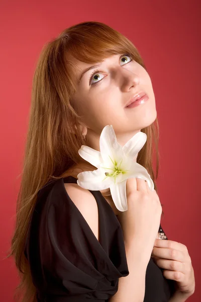 Romantic girl with flower — Stock Photo, Image