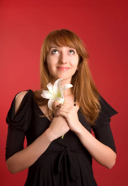 Romantische meisje met bloem in handen — Stockfoto