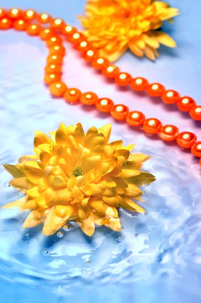 水のネックレスを持つ花 — ストック写真