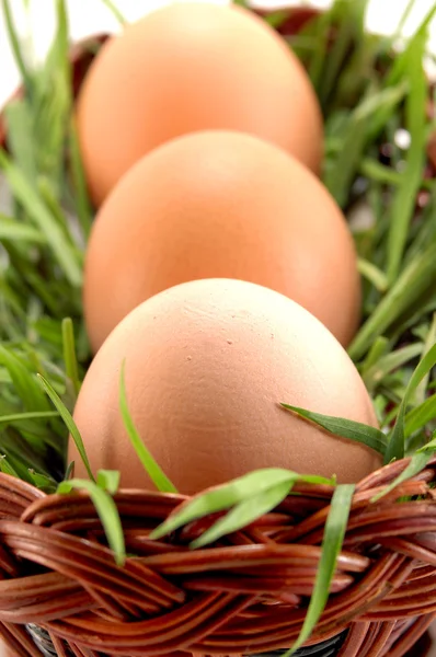 Πασχαλινά αυγά στο καλάθι — Φωτογραφία Αρχείου
