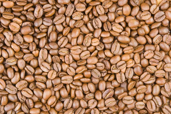 Hintergrund des Kaffees — Stockfoto