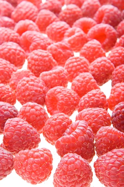 Background of Raspberry — Stock Photo, Image