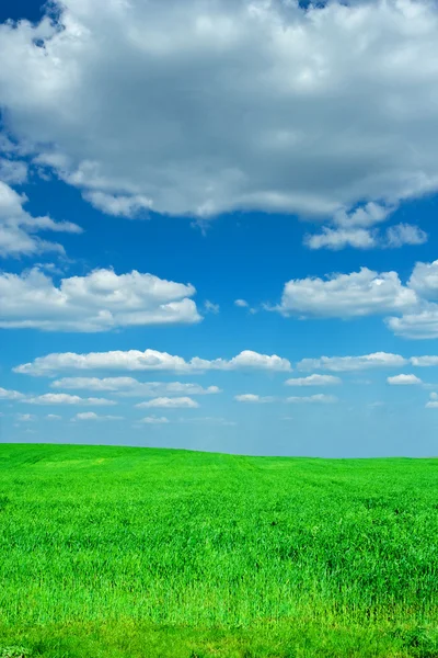 Blå himmel och grönt gräs — Stockfoto