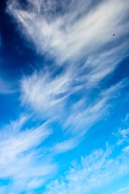 Cirrus clouds on a blue sky clipart