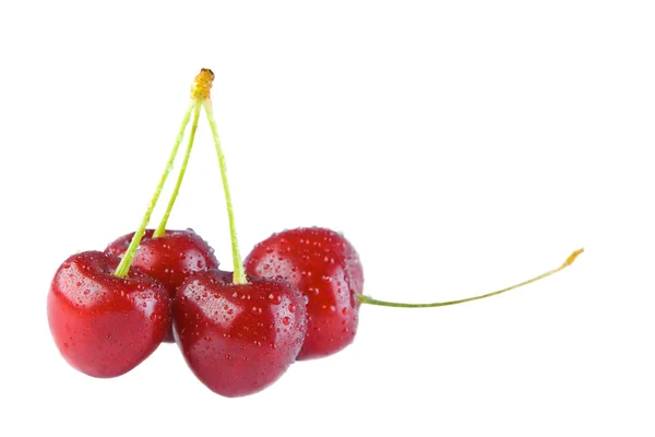 Cherry di atas putih — Stok Foto