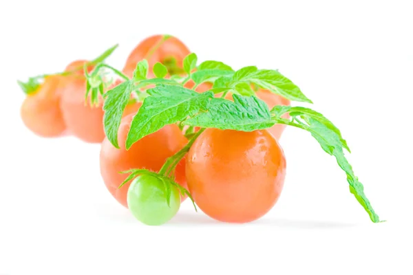 Composition of tomato close up — Stock Photo, Image
