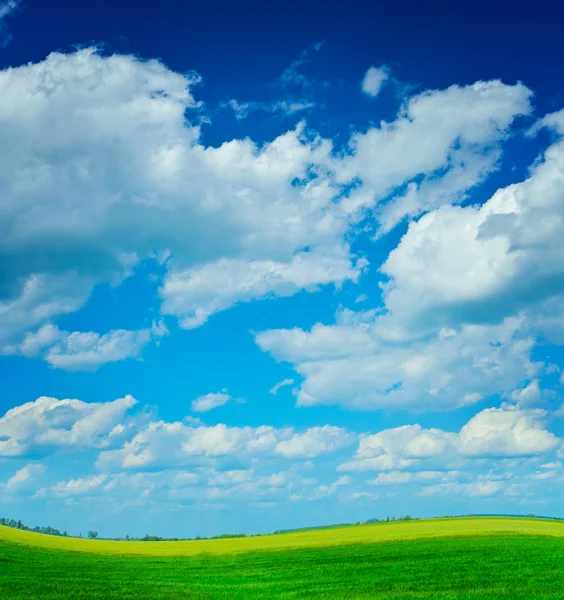 Field with sky — Stock fotografie