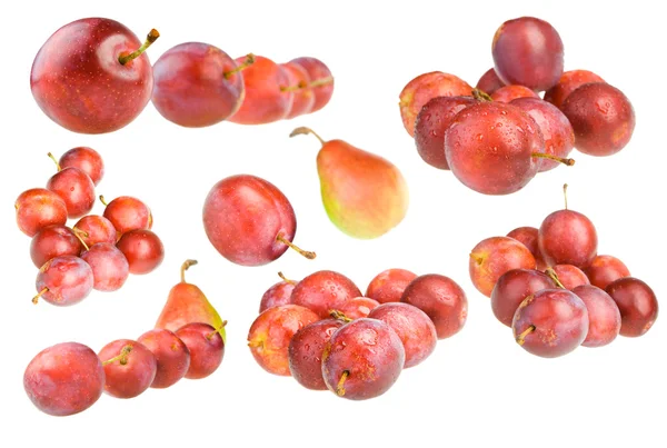 Isolated plum colection — Stock Photo, Image