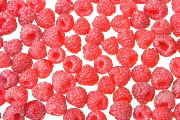 Latar belakang raspberry — Stok Foto
