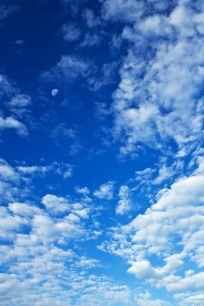 Der schöne wolkenverhangene blaue Himmel — Stockfoto