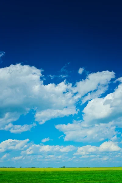 Zweifarbiges Feld und der schöne Himmel — Stockfoto